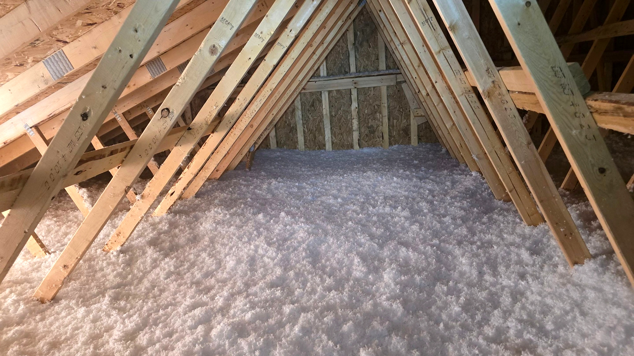 Insulation- Attic Insulation (1)