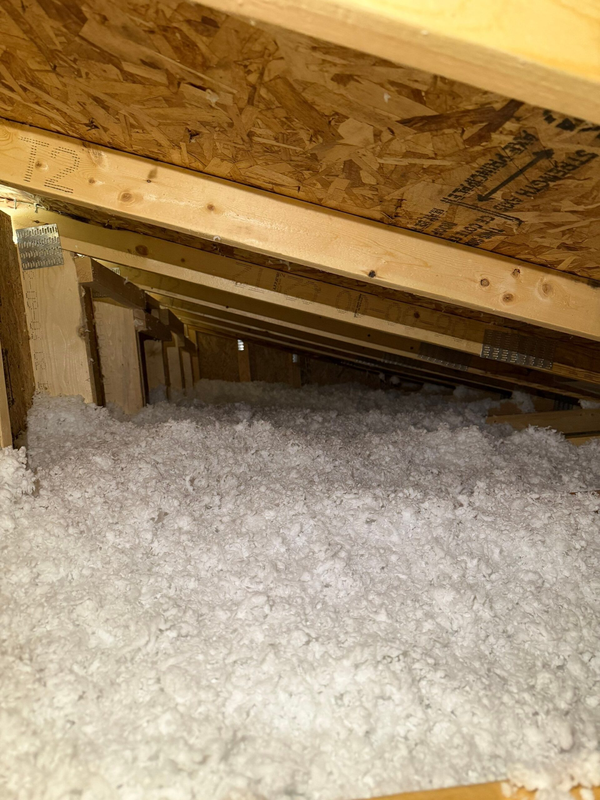 Insulation- Attic Insulation (3)